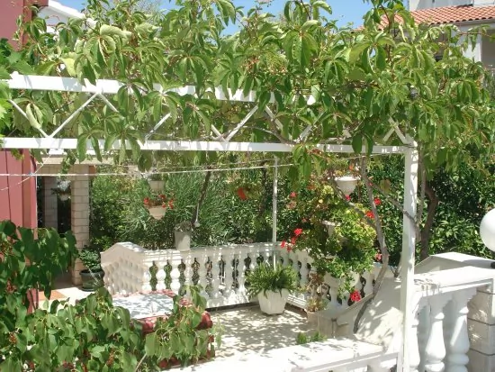 Apartmán Střední Dalmácie - Vinišće DA 3429 N2