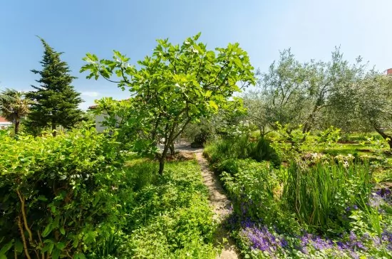 Apartmán Ostrov Krk - Malinska OS 8103 N2