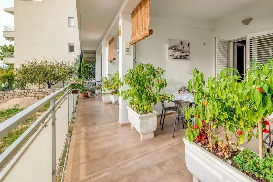 Apartmán Střední Dalmácie - Omiš DA 2734 N1