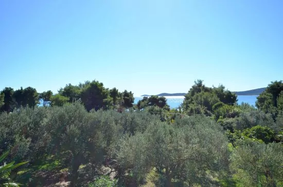 Apartmán Severní Dalmácie - Vodice DA 4138 N1