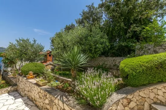 Apartmán Severní Dalmácie - Kanica DA 3557 N1