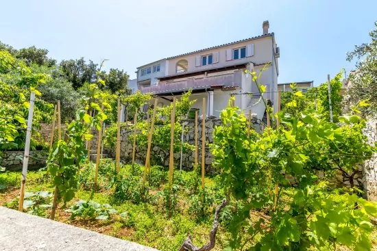 Apartmán Severní Dalmácie - Kanica DA 3557 N1