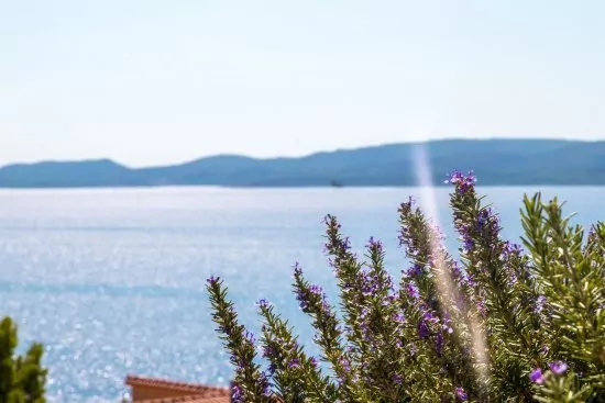 Apartmán Střední Dalmácie - Lokva Rogoznica DA 2511 N3