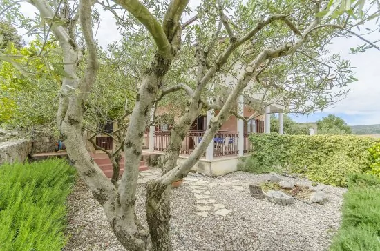 Apartmán Střední Dalmácie - Marina DA 3432 N1