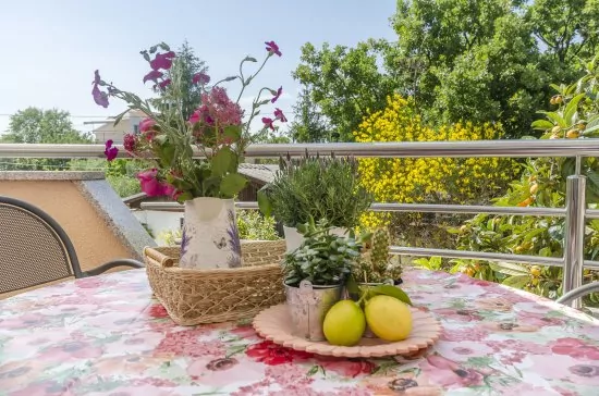 Apartmán Severní Dalmácie - Srima (Vodice) DA 4141 N1