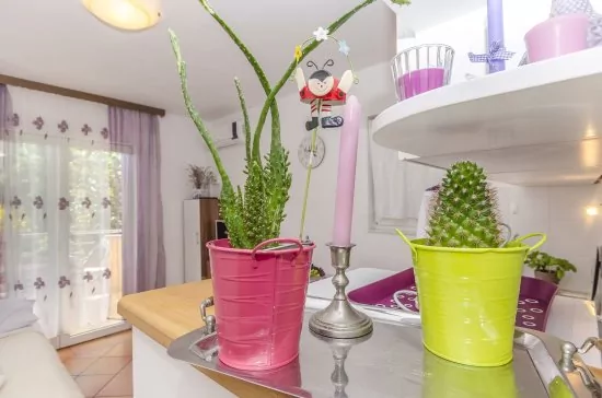 Apartmán Severní Dalmácie - Srima (Vodice) DA 4141 N1