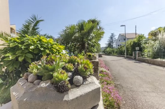 Apartmán Severní Dalmácie - Srima (Vodice) DA 4141 N2