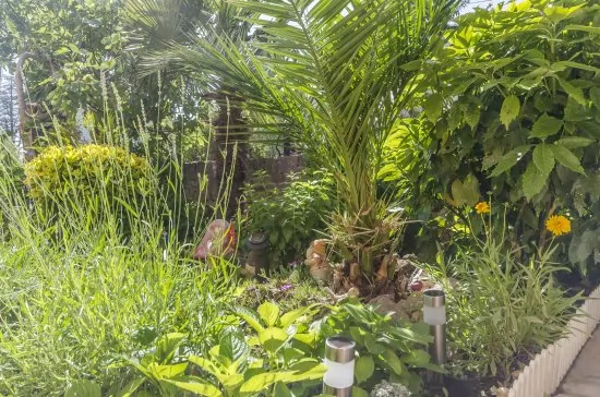 Apartmán Severní Dalmácie - Srima (Vodice) DA 4141 N3