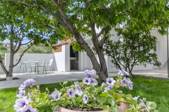 Apartmán Severní Dalmácie - Tribunj (Vodice) DA 4142 N1