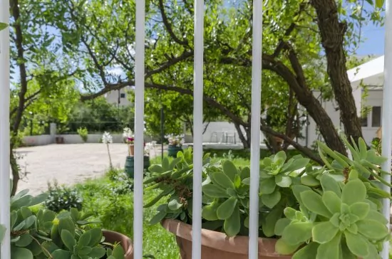Apartmán Severní Dalmácie - Tribunj (Vodice) DA 4142 N2