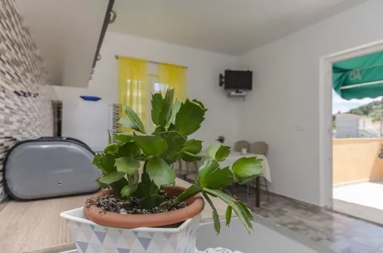 Apartmán Severní Dalmácie - Tribunj (Vodice) DA 4142 N3