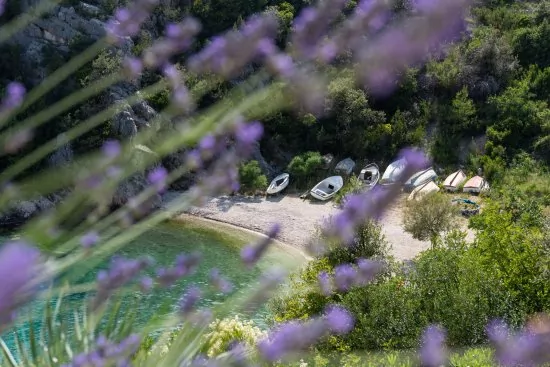 Apartmán Střední Dalmácie - Vinišće DA 3433 N5