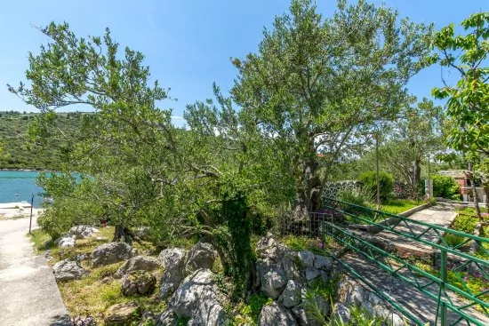 Apartmán Severní Dalmácie - Rogoznica DA 3558 N1