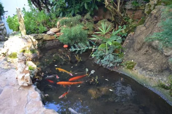 Apartmán Istrie - Banjole IS 1806 N1