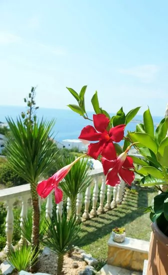 Apartmán Severní Dalmácie - Ražanj DA 3560 N2