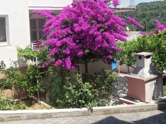 Apartmán Střední Dalmácie - Okrug Gornji DA 3318 N2