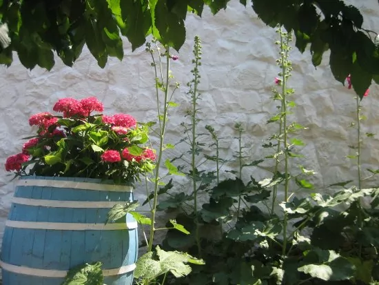 Apartmán Severní Dalmácie - Kanica DA 3563 N1