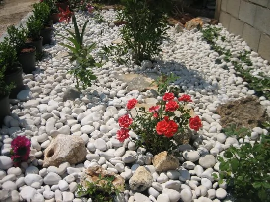 Apartmán Severní Dalmácie - Kanica DA 3563 N1