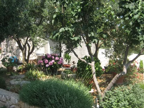 Apartmán Severní Dalmácie - Kanica DA 3563 N2