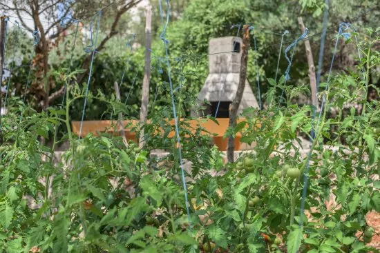 Apartmán Ostrov Cres - Cres OS 9005 N1