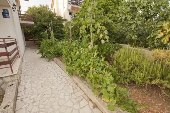 Apartmán Ostrov Cres - Cres OS 9005 N1