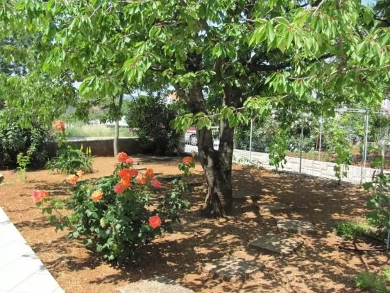 Apartmán Ostrov Krk - Punat OS 8205 N2