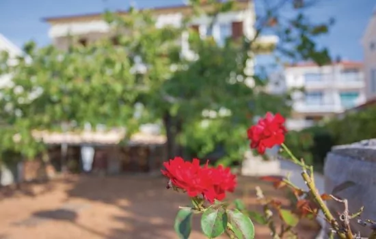 Apartmán Ostrov Krk - Punat OS 8205 N2