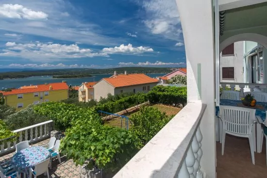 Apartmán Ostrov Krk - Punat OS 8206 N1