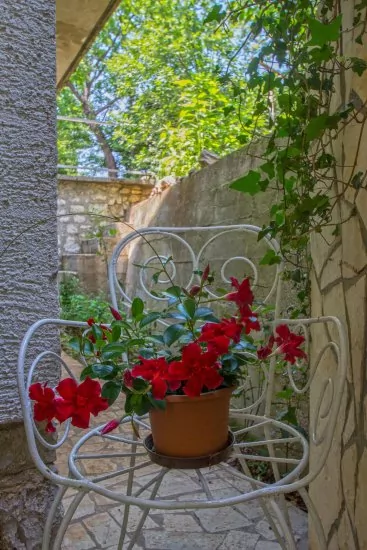 Apartmán Kvarner - Crikvenica KV 2064 N1