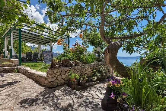 Domek Střední Dalmácie - Tučepi DA 1905 N1