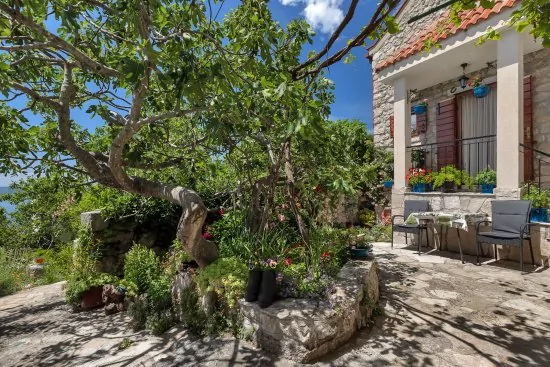 Domek Střední Dalmácie - Tučepi DA 1905 N1