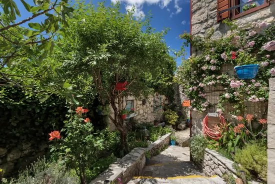 Domek Střední Dalmácie - Tučepi DA 1905 N1