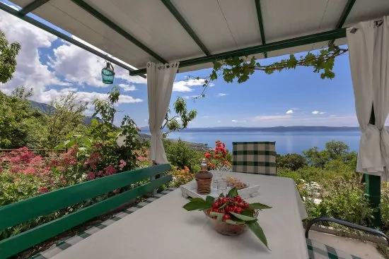 Domek Střední Dalmácie - Tučepi DA 1905 N1