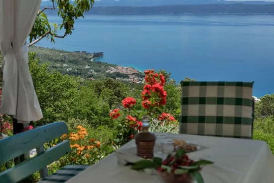 Domek Střední Dalmácie - Tučepi DA 1905 N1