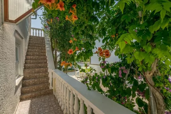 Apartmán Severní Dalmácie - Privlaka DA 5308 N1