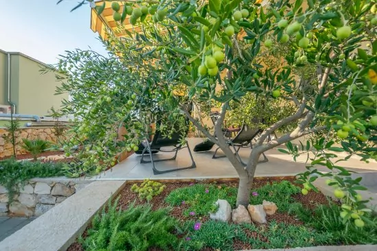 Apartmán Severní Dalmácie - Brodarica DA 3912 N1