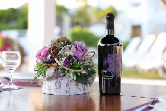 Apartmán Ostrov Vir - Vir OS 5503 N2