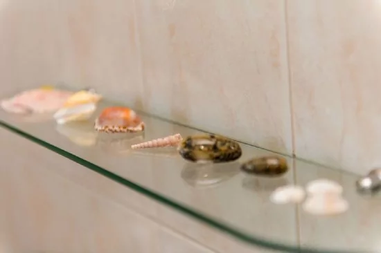 Apartmán Severní Dalmácie - Tribunj (Vodice) DA 4150 N3