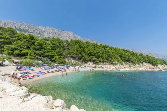 Oblázková pláž 150 m od objektu.