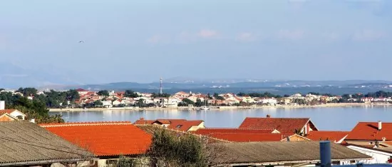 Vila s bazénem Ostrov Vir - Vir OS 5504 N1