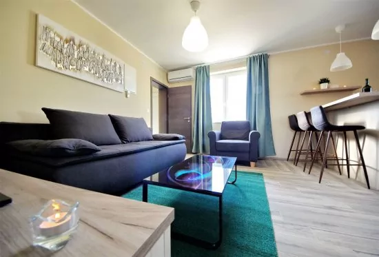 Vila s bazénem Ostrov Vir - Vir OS 5504 N1