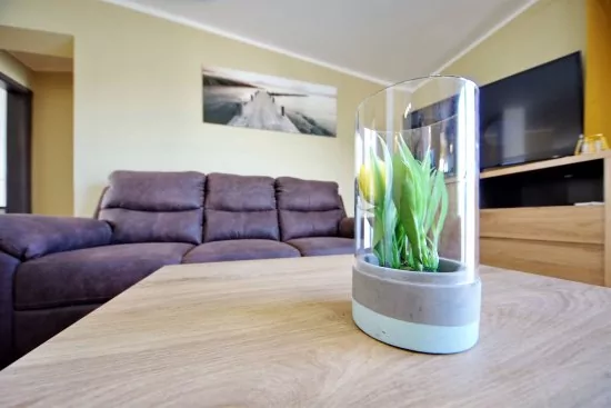 Vila s bazénem Ostrov Vir - Vir OS 5504 N1