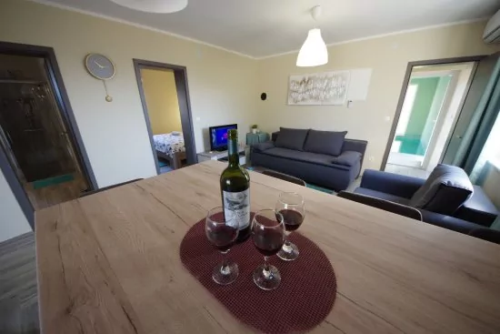 Vila s bazénem Ostrov Vir - Vir OS 5504 N1