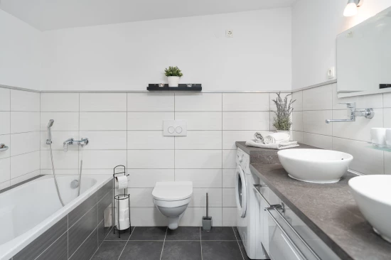 Vila s bazénem Ostrov Vir - Vir OS 5504 N1