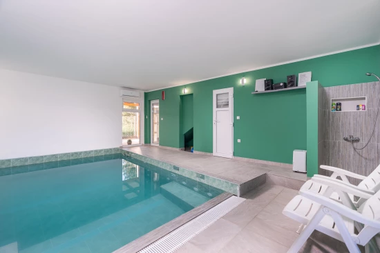 Vila s bazénem Ostrov Vir - Vir OS 5504 N1