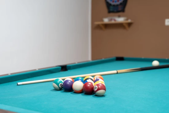 Vila s bazénem Ostrov Vir - Vir OS 5504 N1