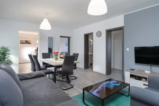 Vila s bazénem Ostrov Vir - Vir OS 5504 N1