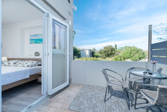 Vila s bazénem Ostrov Vir - Vir OS 5504 N1