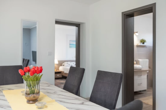 Vila s bazénem Ostrov Vir - Vir OS 5504 N1