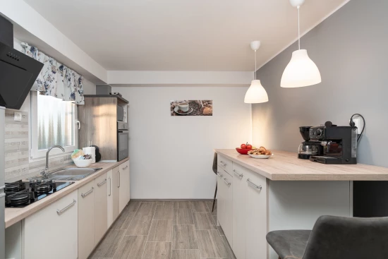 Vila s bazénem Ostrov Vir - Vir OS 5504 N1